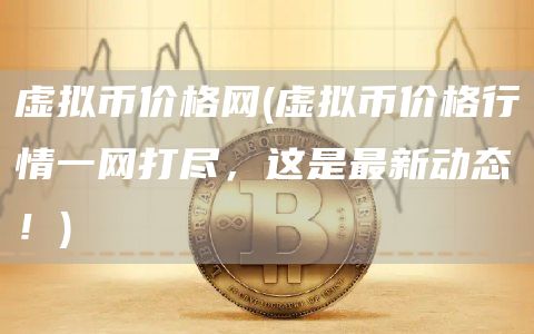 虚拟币价格网 - 虚拟币价格行情一网打尽，这是最新动态！